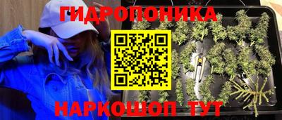 a pvp Кулебаки