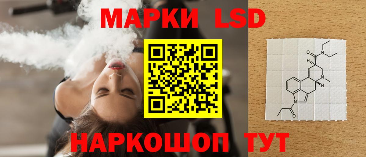 Меф Губкинский