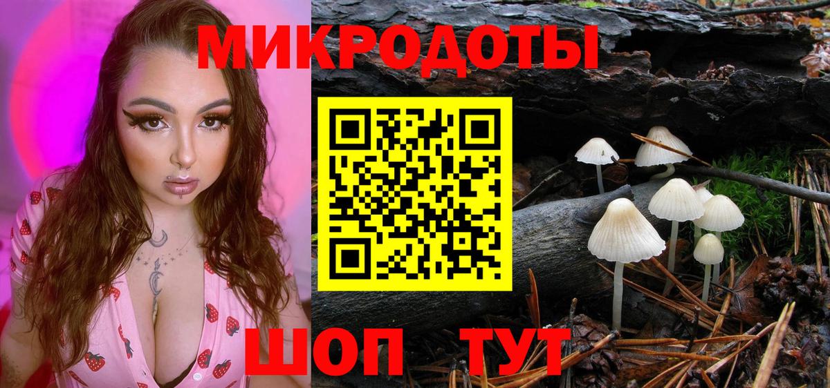 Псилоцибиновые грибы мухоморы  Вход с VPN  Псилоцибиновые грибы мухоморы  Губкинский 